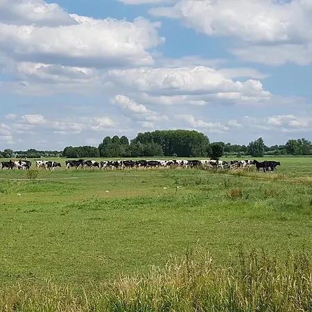 Water & Meadow In Holland 2a & 2c Schoonrewoerd