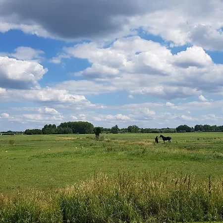 Water & Meadow In Holland 2a & 2c *