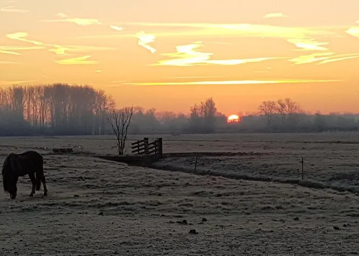 Ferienhaus Water & Meadow In Holland 2a & 2c Schoonrewoerd