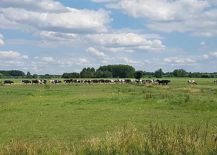 Water & Meadow In Holland 2a & 2c Schoonrewoerd