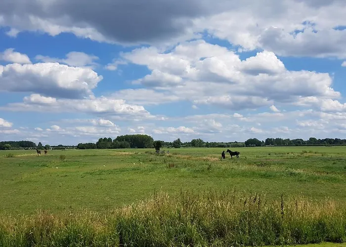 Water & Meadow In Holland 2a & 2c *