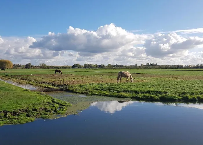 Holiday home Water & Meadow In Holland 2a & 2c Schoonrewoerd