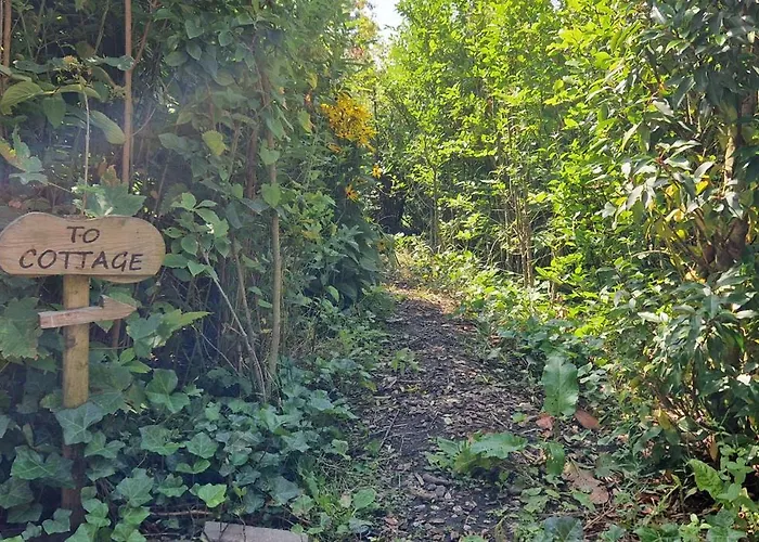 Holiday home Water & Meadow In Holland 2a & 2c *