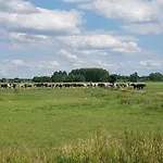 Water & Meadow In Holland 2a & 2c Schoonrewoerd